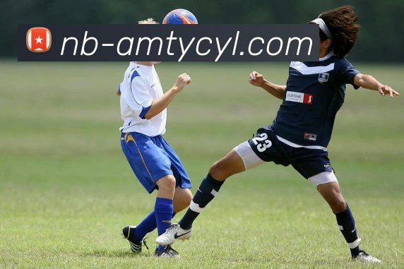 澳门太阳城娱乐平台生态图